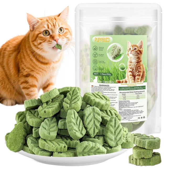 Feuilles d’Herbe à Chat Comestibles – Friandises Naturelles Anti-Boules de Poils (50 g)