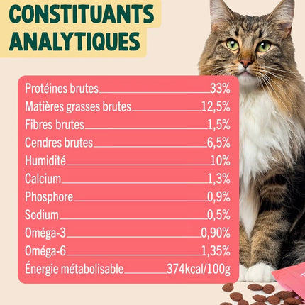 Friandises dentaires pour chat au saumon et à la menthe – Haleine fraîche et anti-tartre