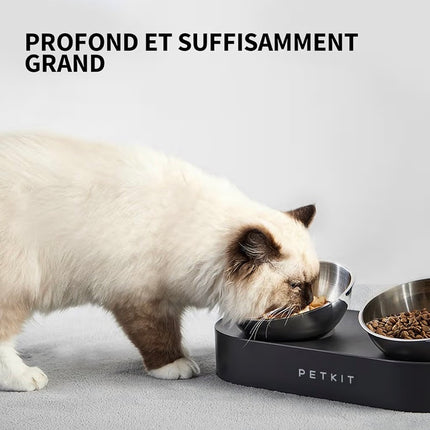 Gamelle Double Surélevée en Acier Inoxydable pour Chat et Petit Chien