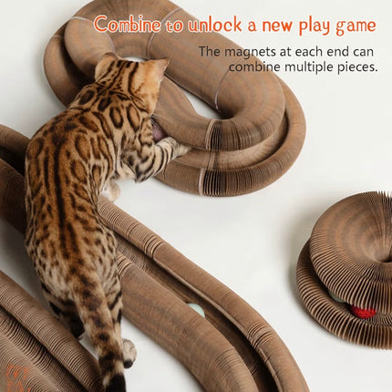 Jouet à Griffer Interactif pour Chat – Tunnel Modulable en Carton avec Balle