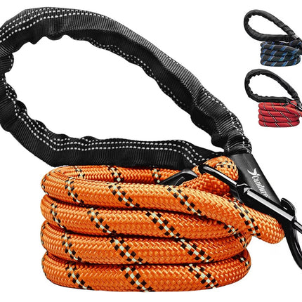 Laisse pour chien ultra-résistante en nylon avec poignée rembourrée – Mousqueton rotatif 360°