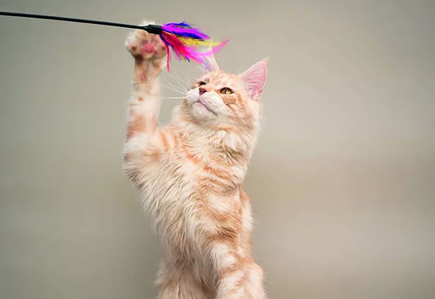 Jouer & se dépenser