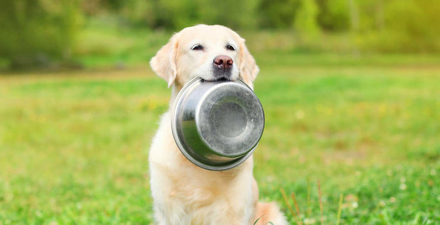 Lui faire plaisir au quotidien