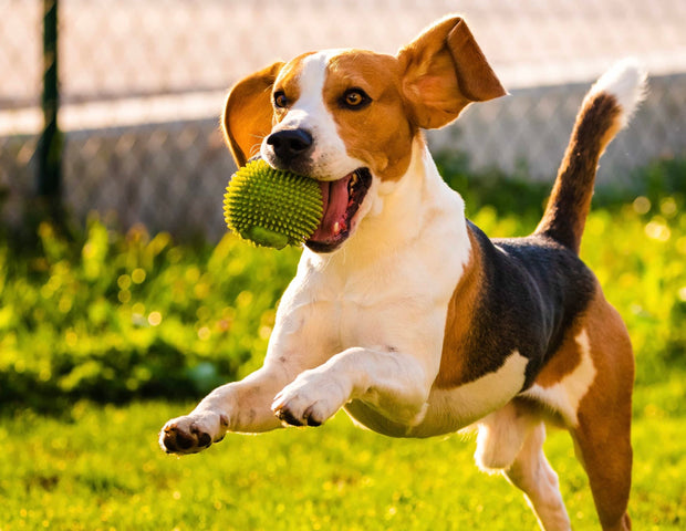 Prendre soin de sa santé