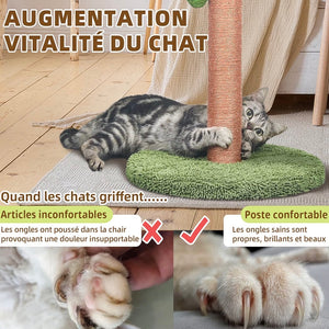 Griffoir pour Chat en Forme de Palmier