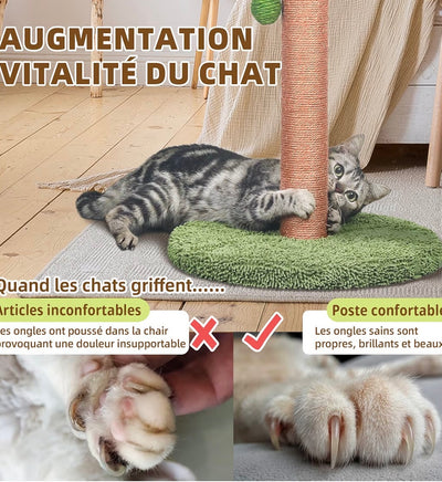 Griffoir pour Chat en Forme de Palmier