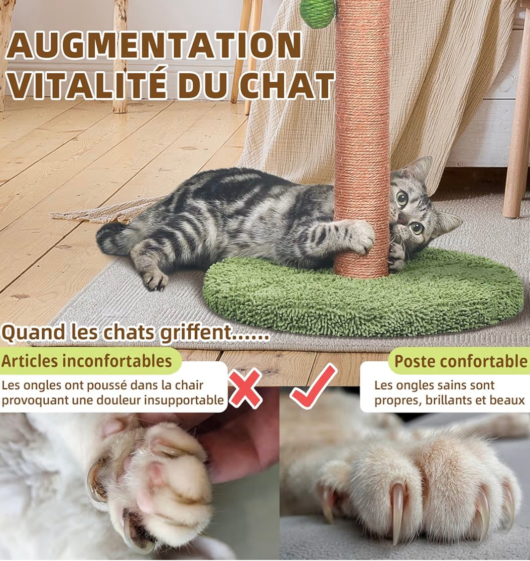 Griffoir pour Chat en Forme de Palmier