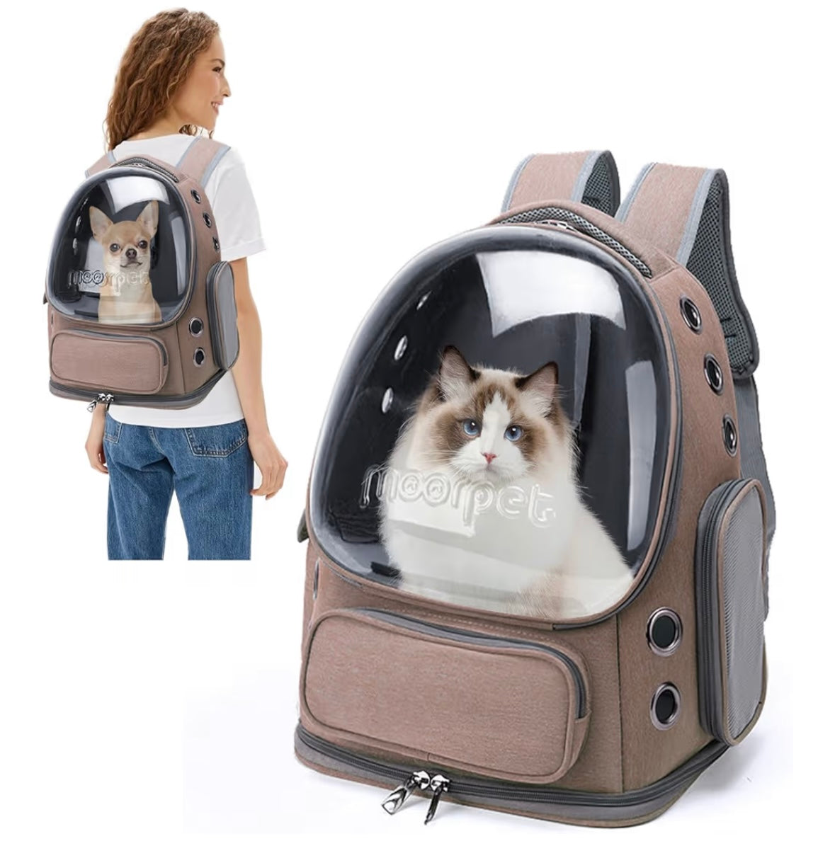 Sac à Dos Transparent pour Chat