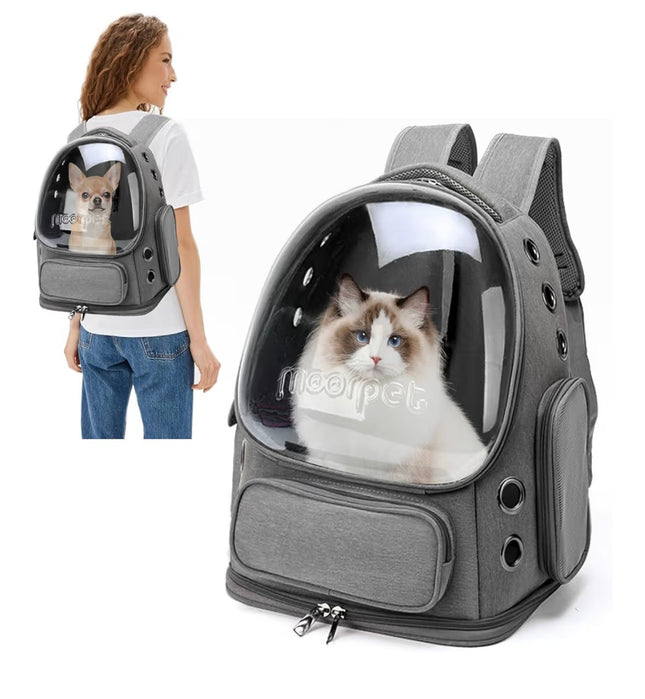 Sac à Dos Transparent pour Chat