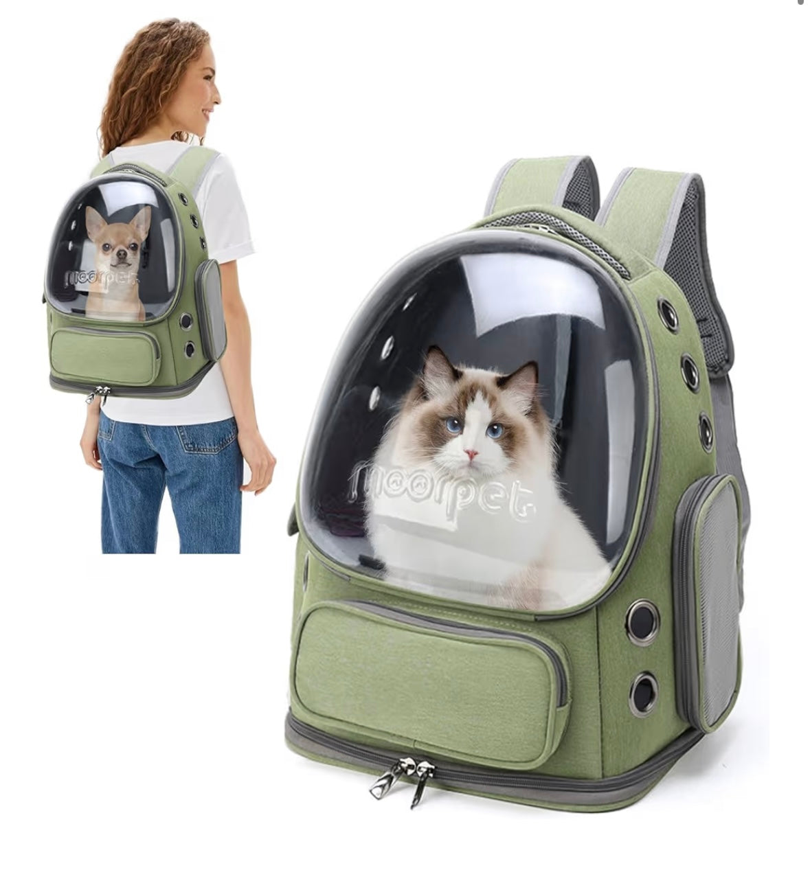 Sac à Dos Transparent pour Chat