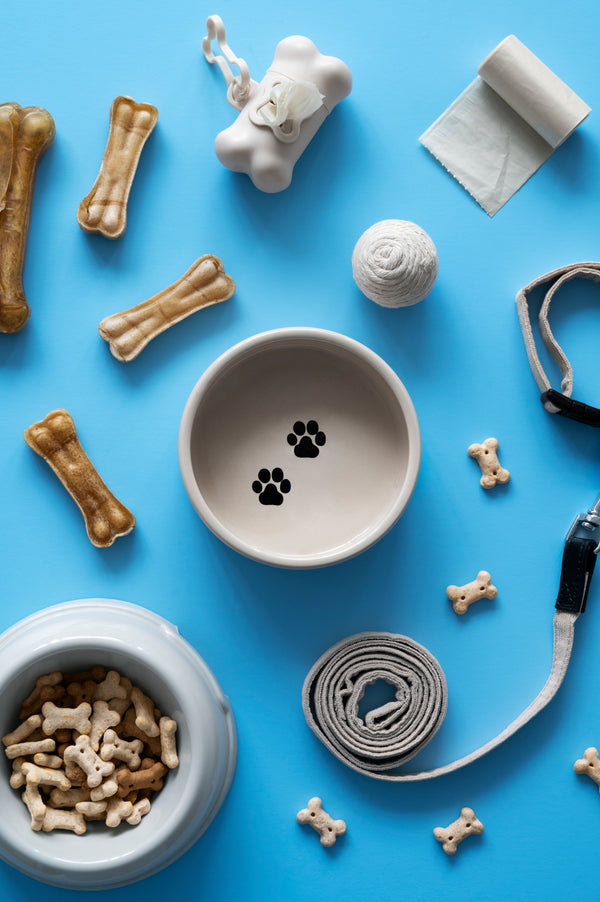 Friandises pour chats