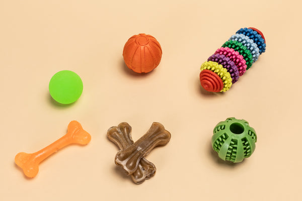 Jouets pour chiens